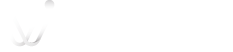 Logo VAG Global